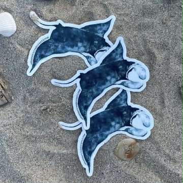 Shanna Trees Creations- Manta Ray Medium Sticker