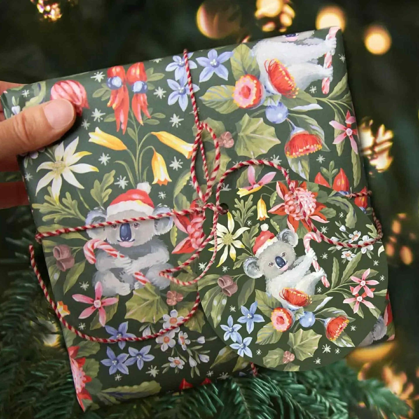 EARTH GREETINGS- Christmas Koalas- Folded Christmas Gift Wrap - Jayne Branchflower