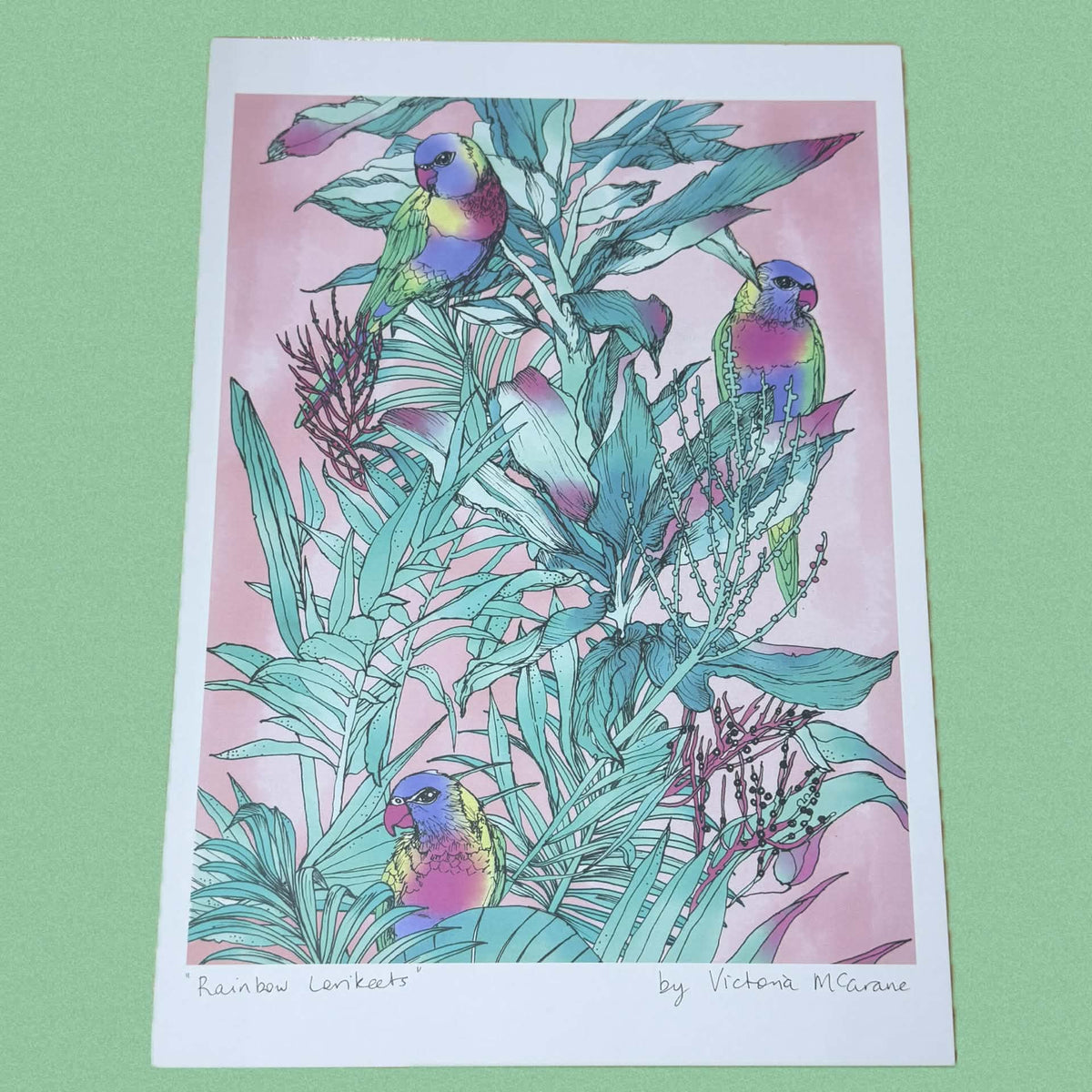 THE SCENIC ROUTE - "RAINBOW LORIKEETS"- A4 ART PRINT