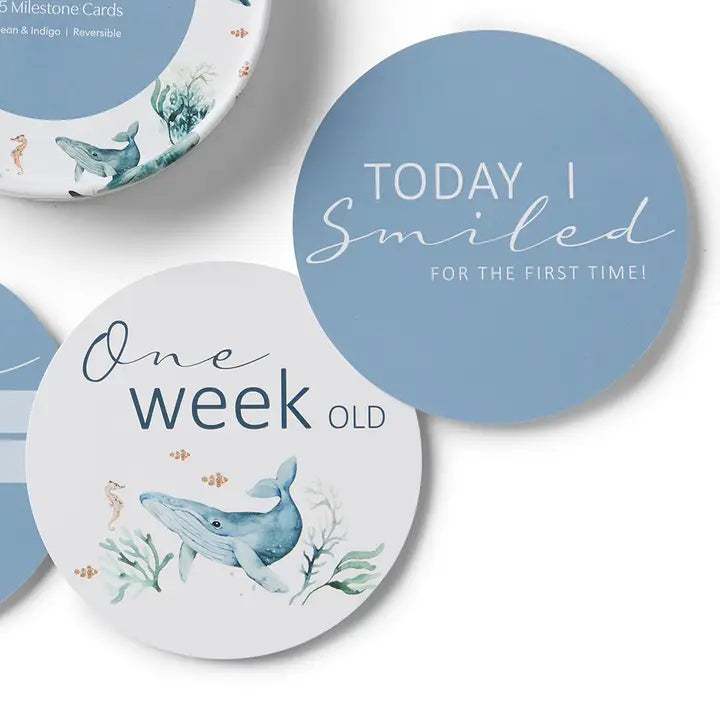 SNUGGLE HUNNY Ocean & Indigo Reversible Milestone Cards