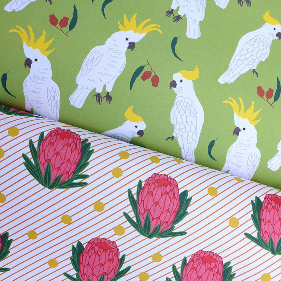 BOOKS & CO - ALL WRAPPED UP: Australia by Alice Oehr