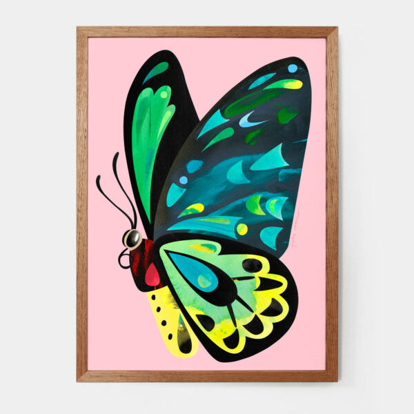 PETE CROMER - CAIRNS BIRDWING BUTTERFLY A4 FINE ART PRINT