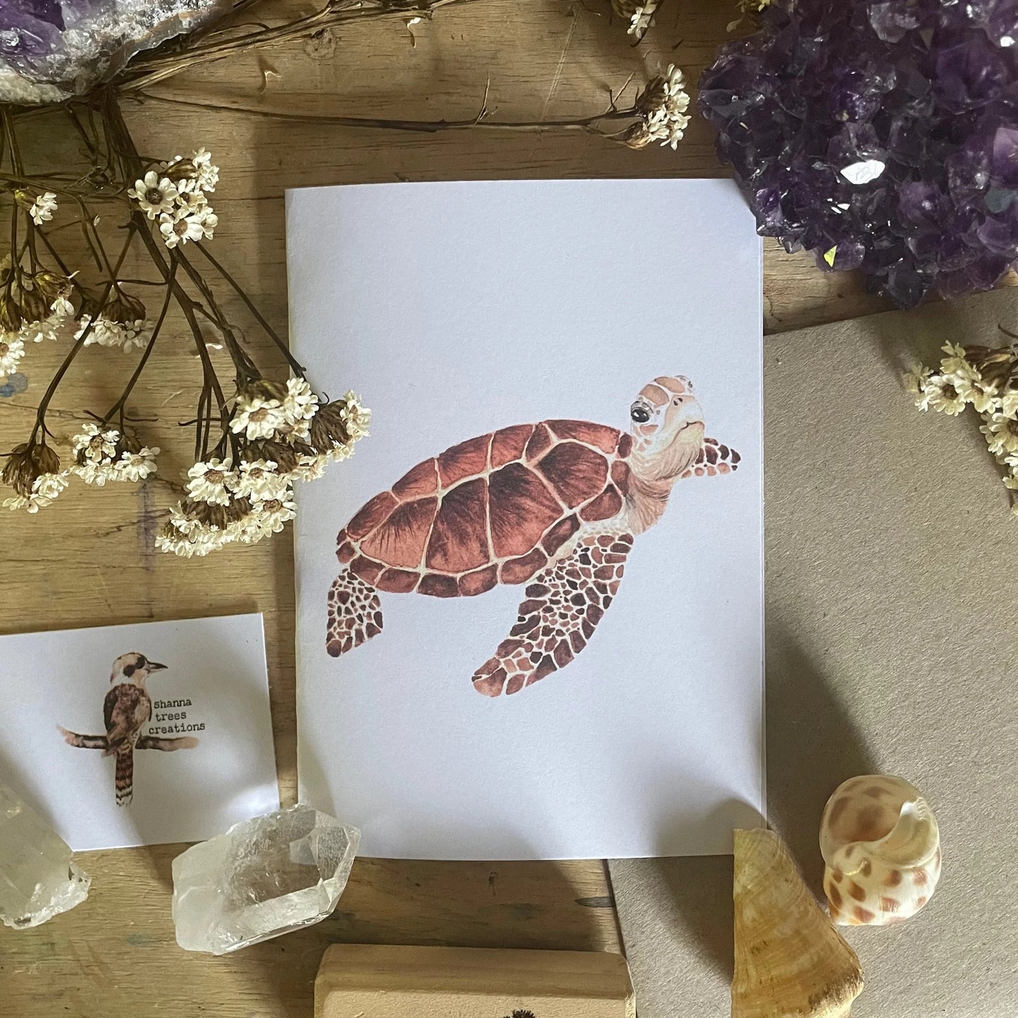 Shanna Trees Creations- Turtle #2 (Looking)- Regular Greeting Card