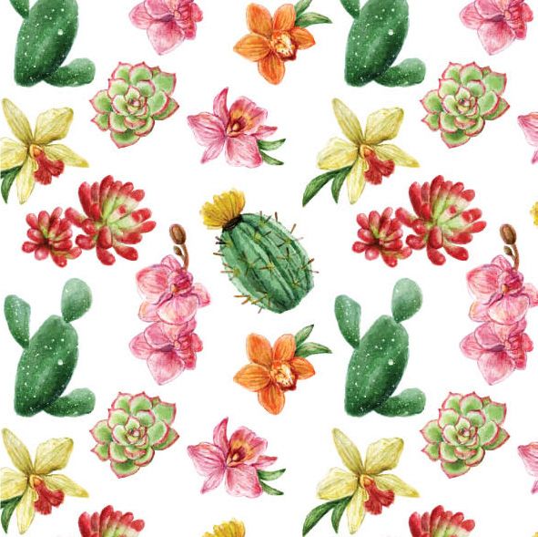 NUOVO - "CACTUS & ORCHIDS" SMALL GREETING CARD