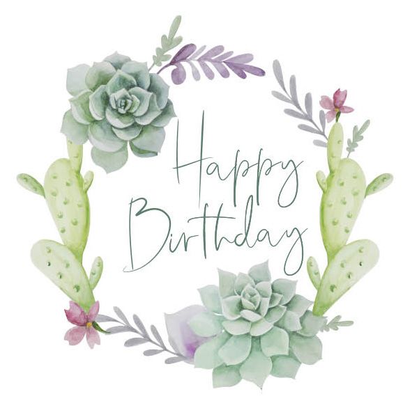 NUOVO - HAPPY BIRTHDAY SUCCULENTS MINI GREETING CARD