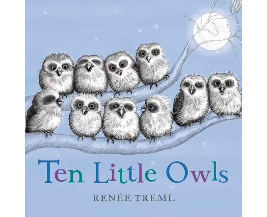 BOOKS & CO - RENEE TREML - Ten Little Owls - Small Board Book