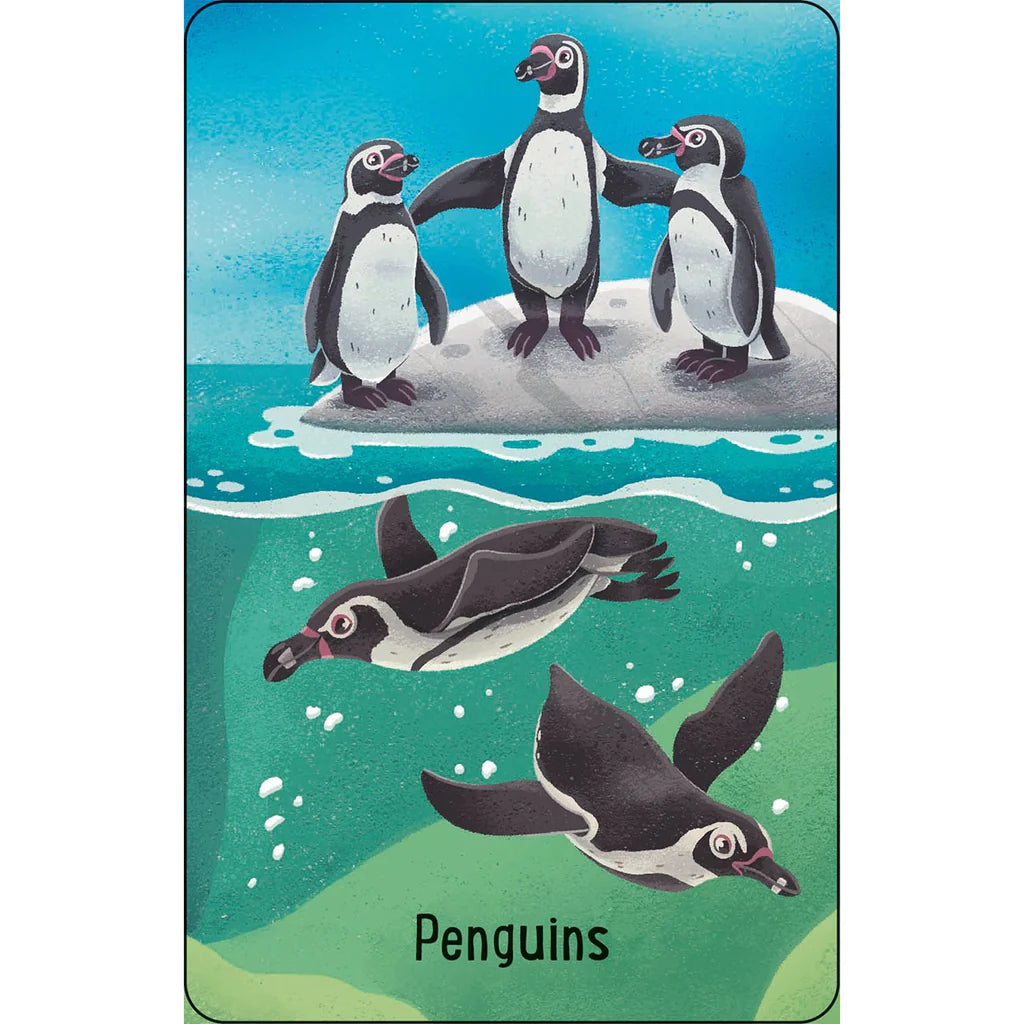 Australian Animals Snap Card Game