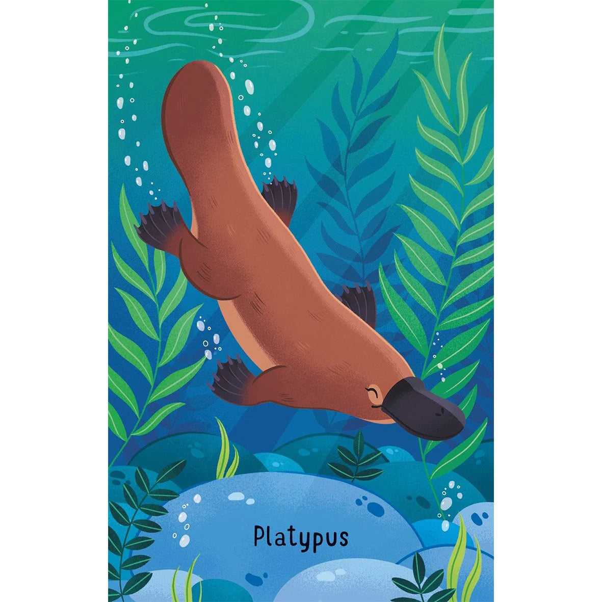 Australian Animals Snap Card Game