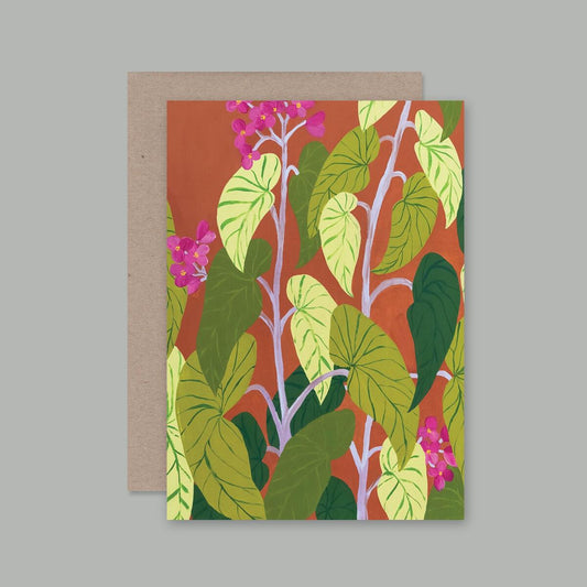 AHD - A BEGONIA BELONGS BY THE FRONT DOOR Gift Card
