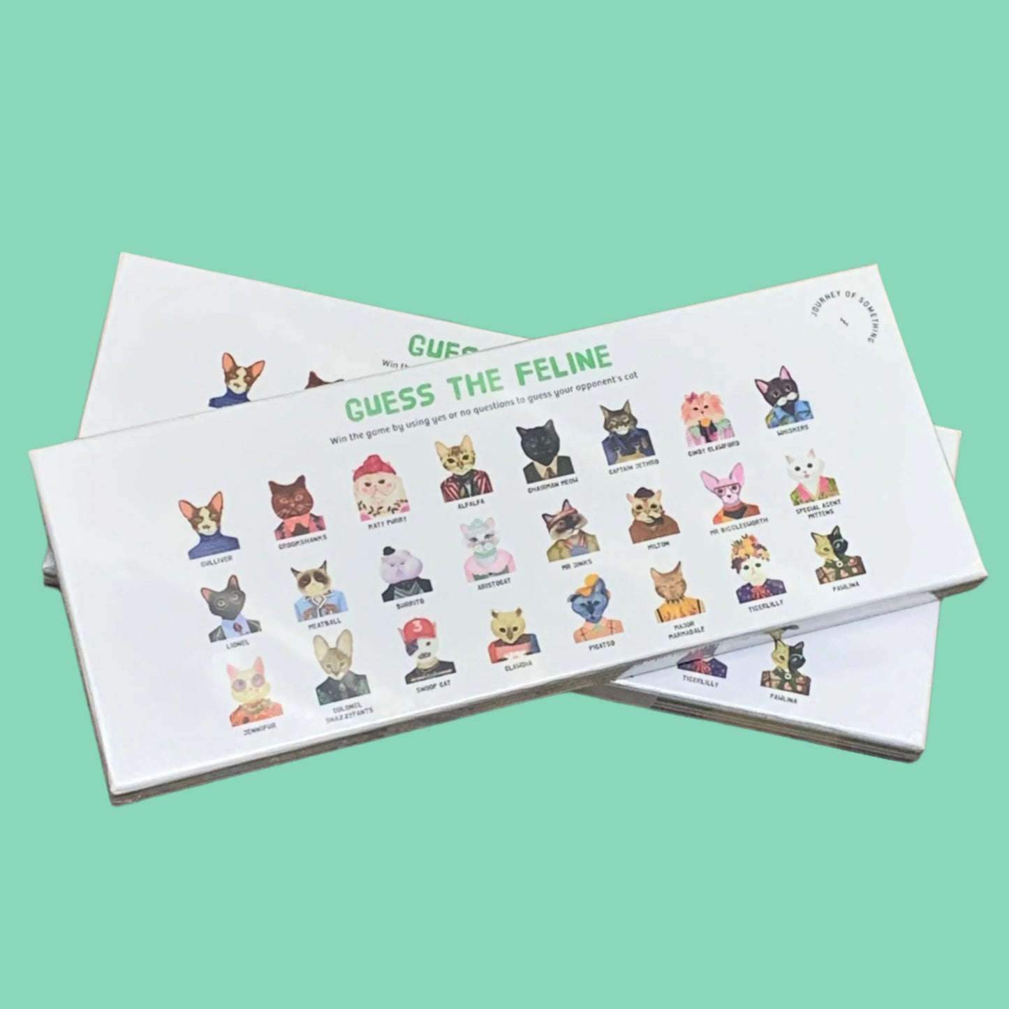 JOURNEY OF SOMETHING- GUESS THE FELINE GAME