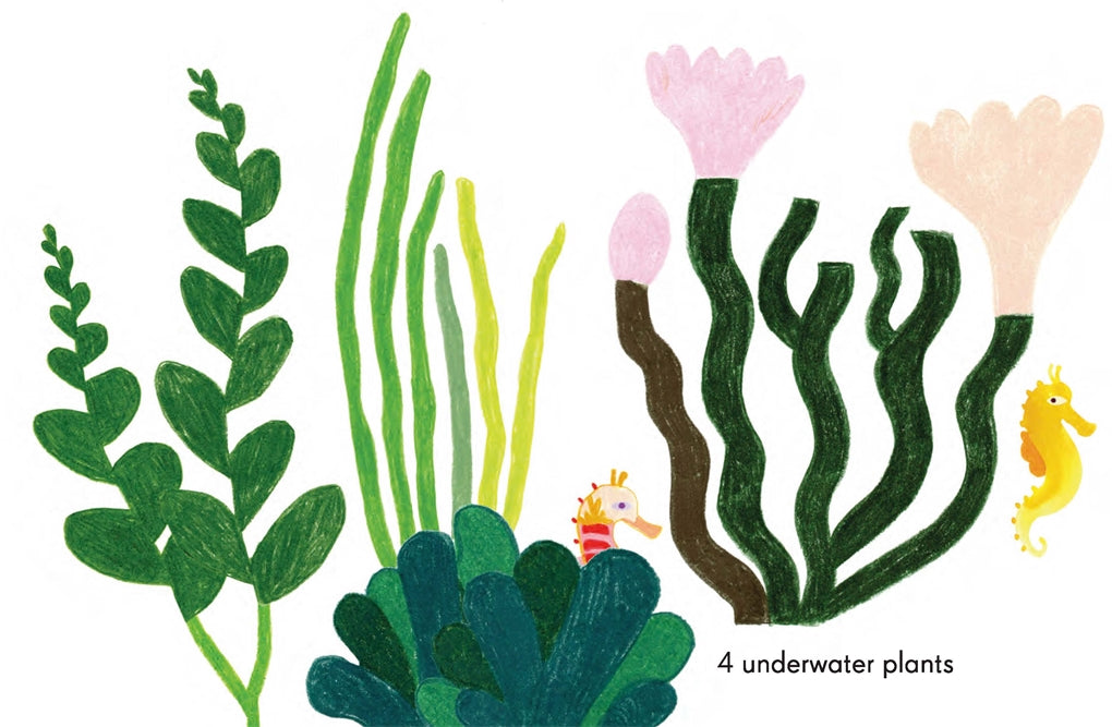 BOOKS & CO - 123 Under the Sea A Counting Book by Kat Macleod