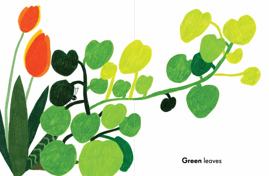BOOKS & CO - Colours in the Garden - A Book of Colours by Kat Macleod