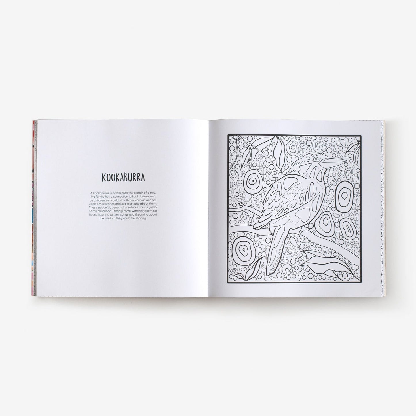 BOOKS & CO - Mulganai: A First Nations Colouring Book By Emma Hollingsworth