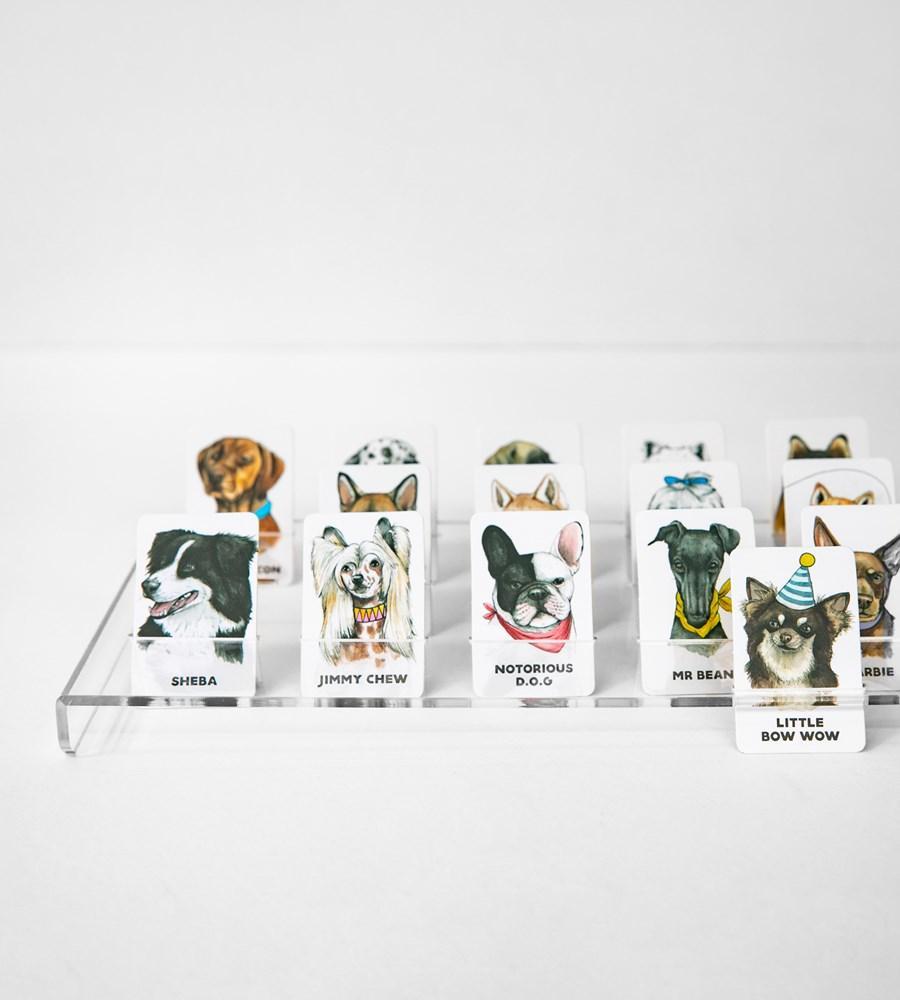 JOURNEY OF SOMETHING- GUESS THE DOGGY GAME