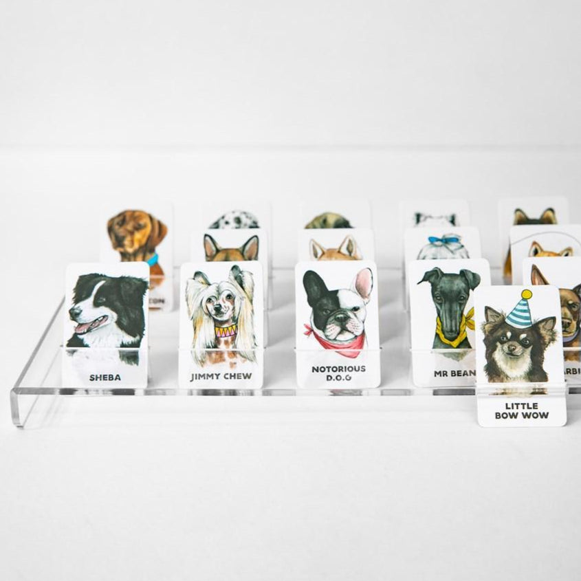 JOURNEY OF SOMETHING- GUESS THE DOGGY GAME