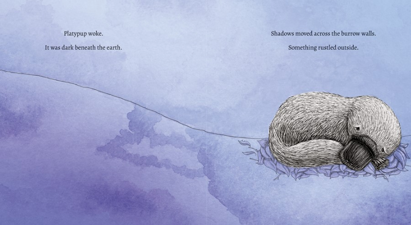 BOOKS & CO - RENEE TREML - SLEEP TIGHT, PLATYPUP BOOK