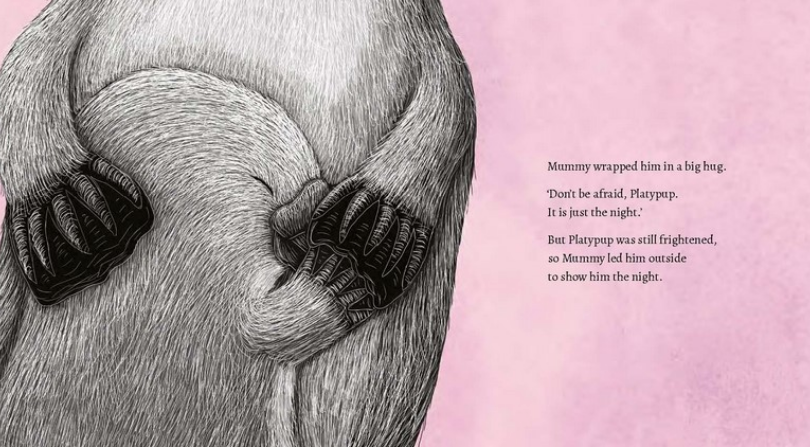 BOOKS & CO - RENEE TREML - SLEEP TIGHT, PLATYPUP BOOK
