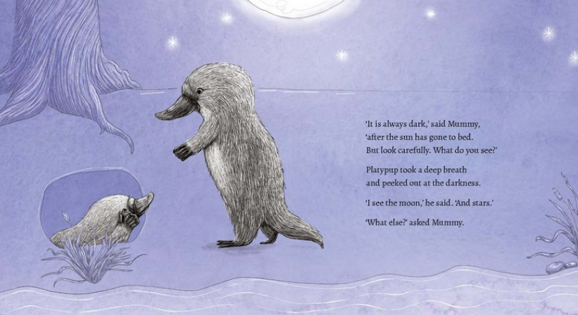 BOOKS & CO - RENEE TREML - SLEEP TIGHT, PLATYPUP BOOK