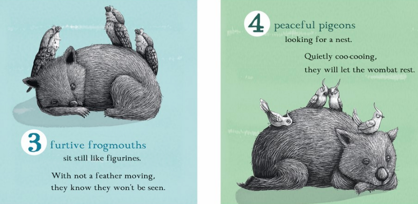 BOOKS & CO - RENEE TREML - ONE VERY TIRED WOMBAT CHILDRENS BOARD BOOK