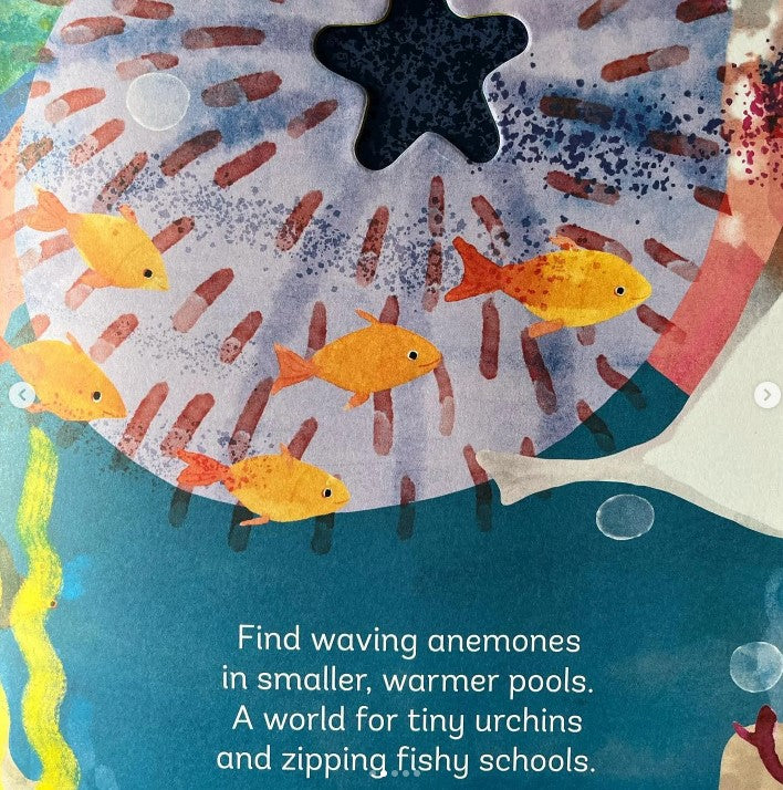 BOOKS & CO - JESS RACKLYEFT - Big World, Tiny World: Reef