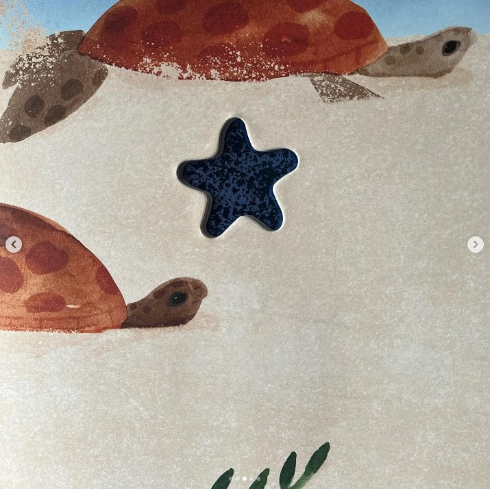 BOOKS & CO - JESS RACKLYEFT - Big World, Tiny World: Reef