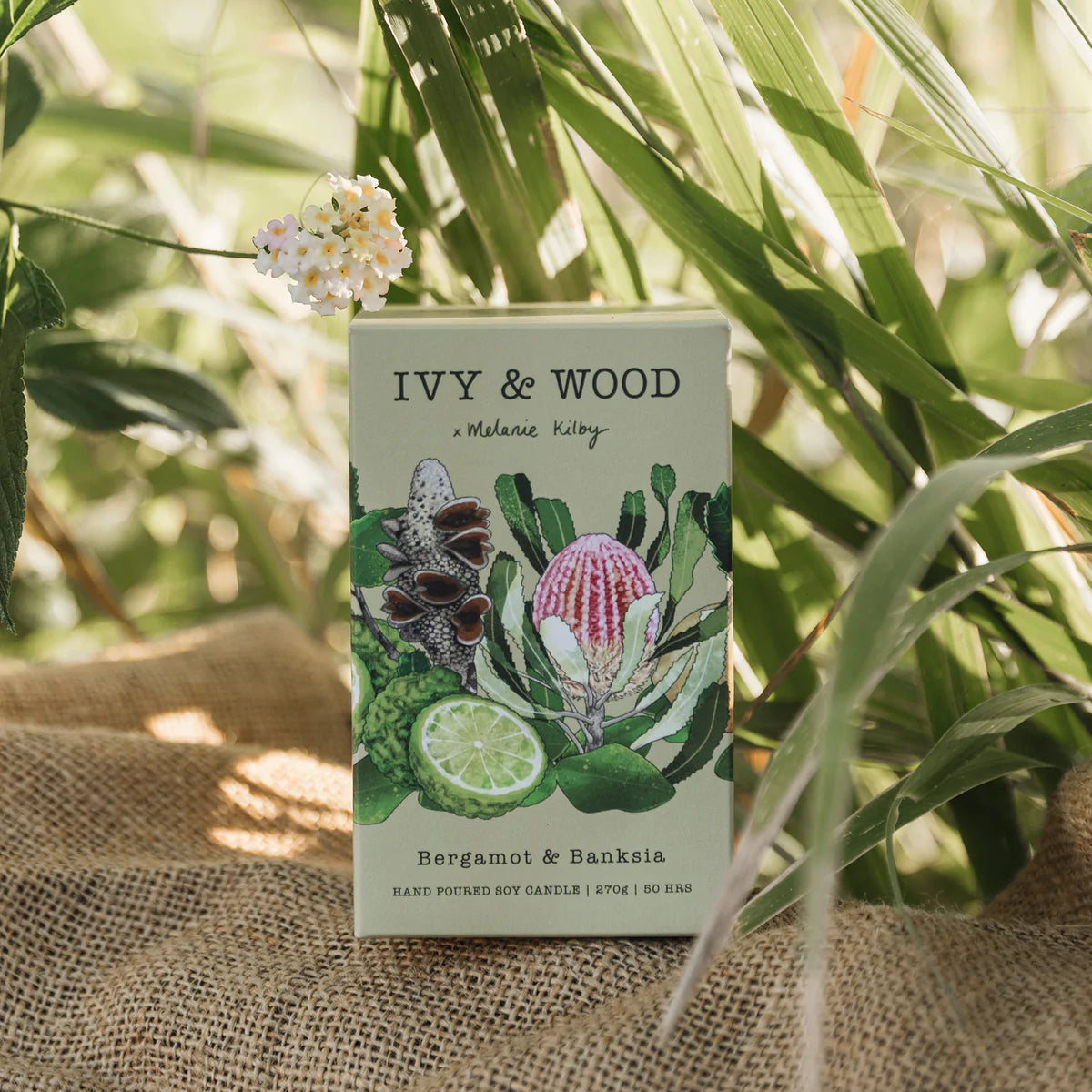 IVY & WOOD - Bergamot & Banksia Scented Candle 'Australiana' Collection