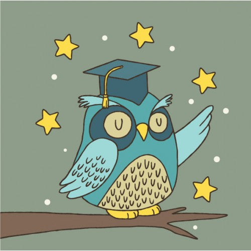 NUOVO - WISE OWL GRADUATION SMALL GREETING CARD