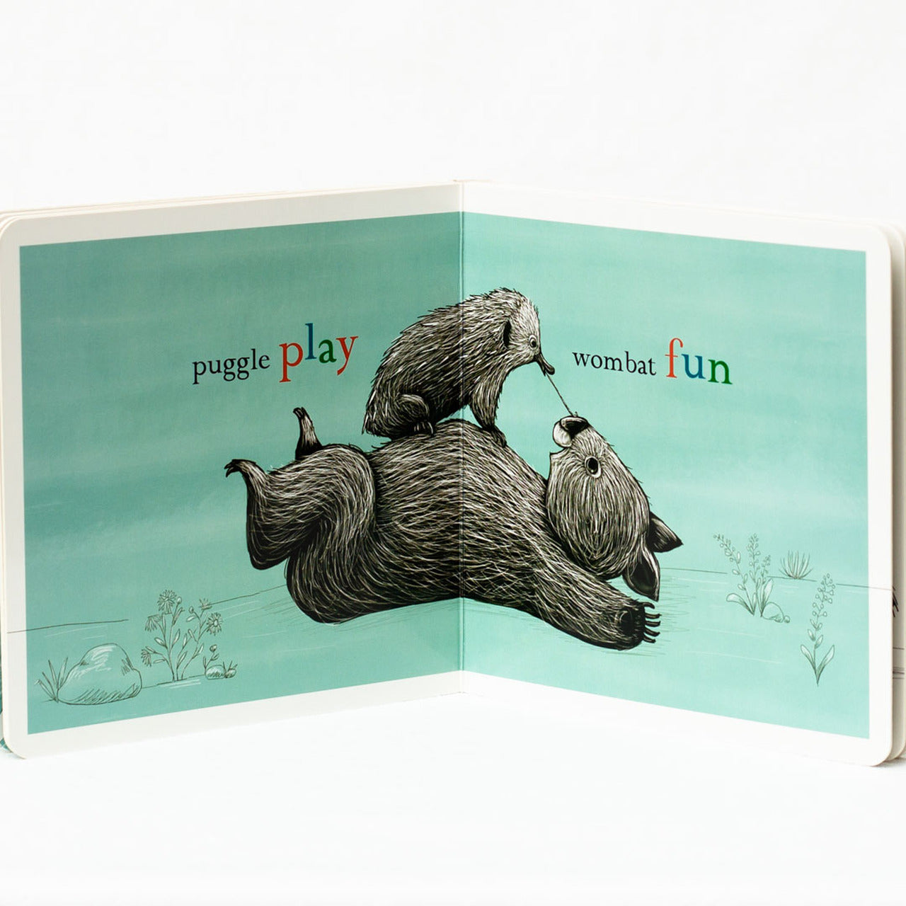 BOOKS & CO - RENEE TREML - WOMBAT BIG, PUGGLE SMALL CHILDREN BOOK