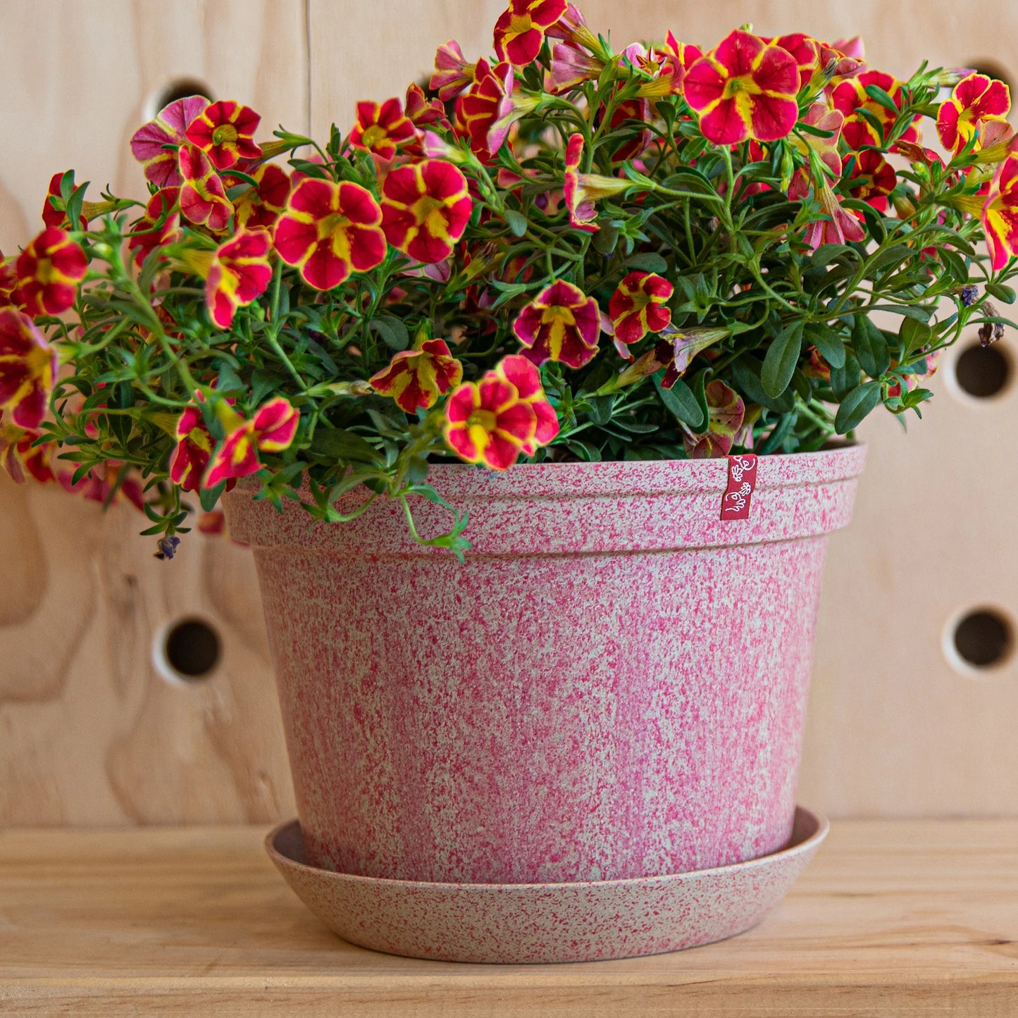 WOLJAM - Cherry - Sunday Series Plant Pot