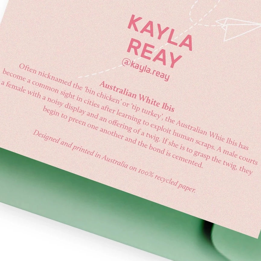 KAYLA REAY- Bin Chicken (Australian White Ibis) Greeting Card