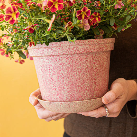 WOLJAM - Cherry - Sunday Series Plant Pot