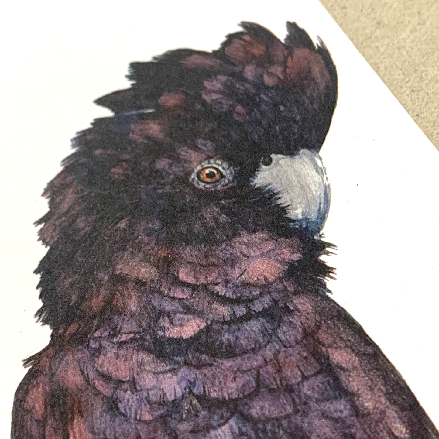 Shanna Trees Creations- "Red Tailed Black Cockatoo" Bookmark- White Paper