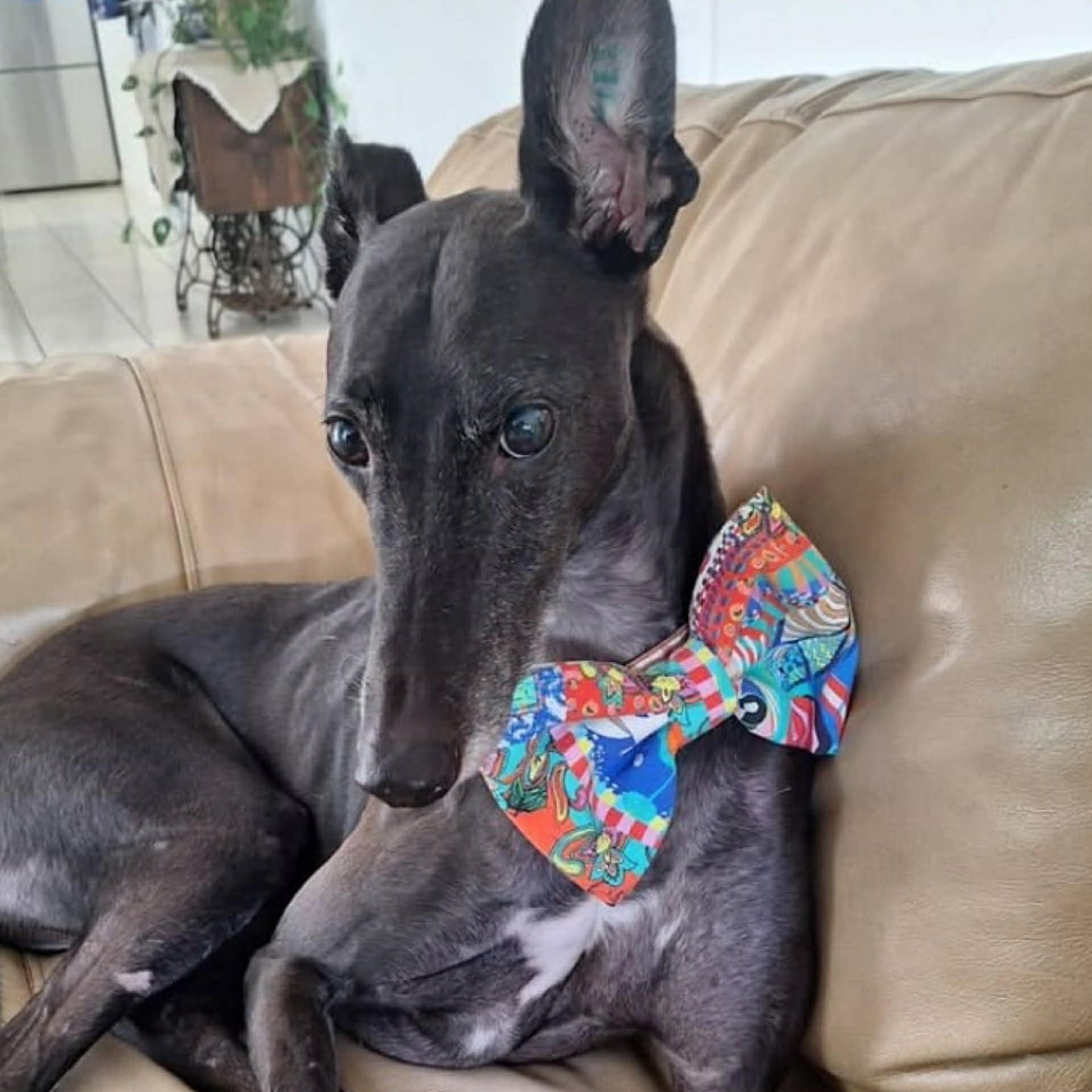 BEAUS AND BANDITS - DOGGY BOW TIE -FLOWERS ON GINGHAM - LARGE