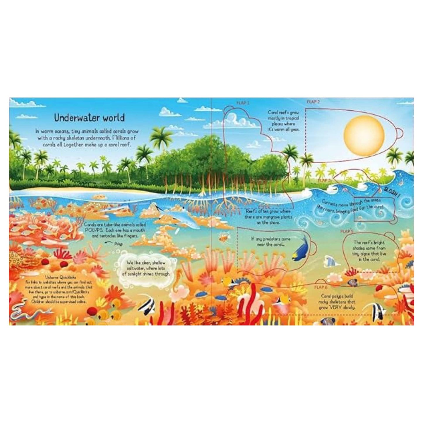 BOOKS & CO - LOOK INSIDE A CORAL REEF by Minna Lacey