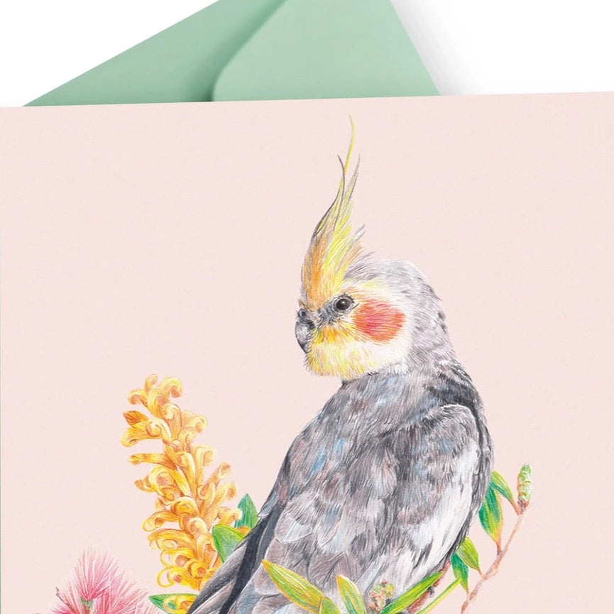 KAYLA REAY- Cockatiel Greeting Card