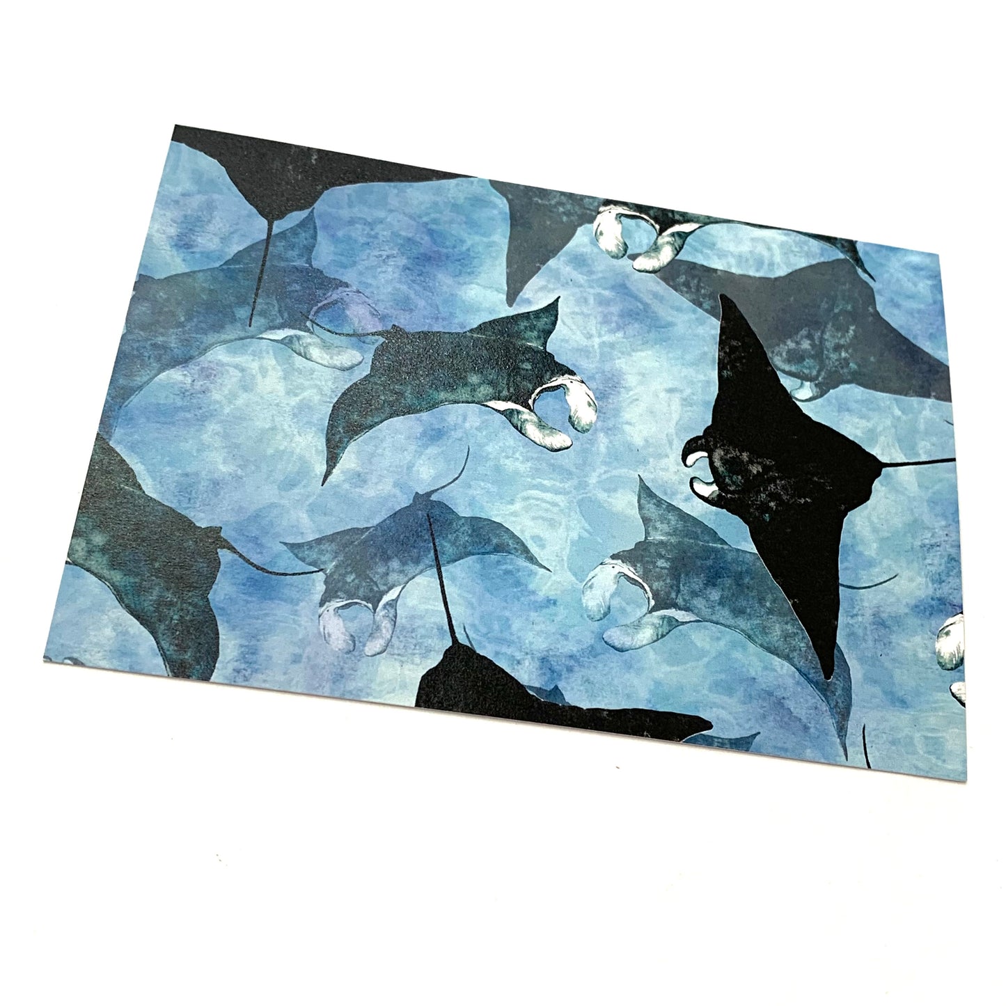SHANNA TREES CREATIONS - Framed "Manta Ray Dance" Print