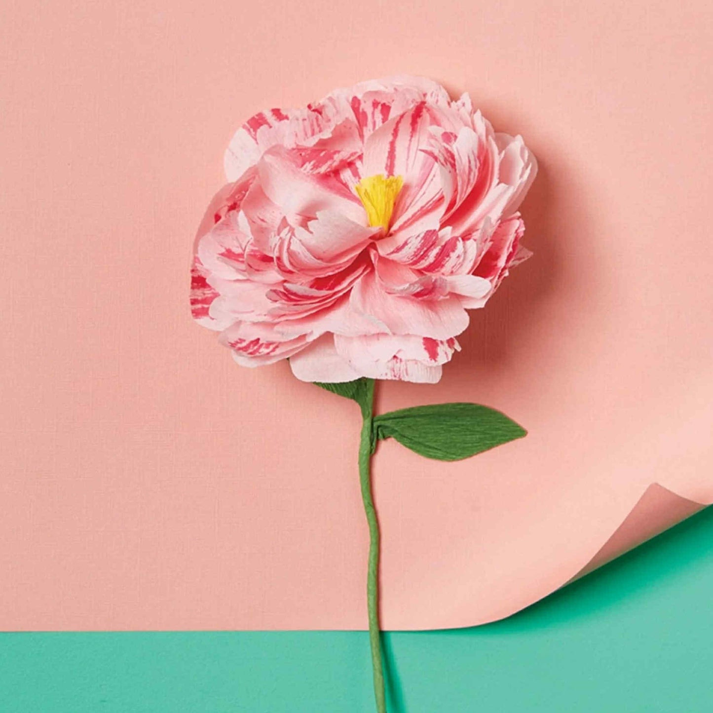 JOURNEY OF SOMETHING- PAPER FLOWER MAKING KIT