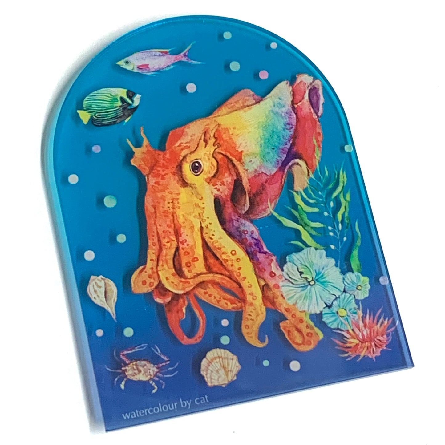 WATERCOLOURS BY CAT- Cuttlefish- Australian Marine Animal Art Magnet