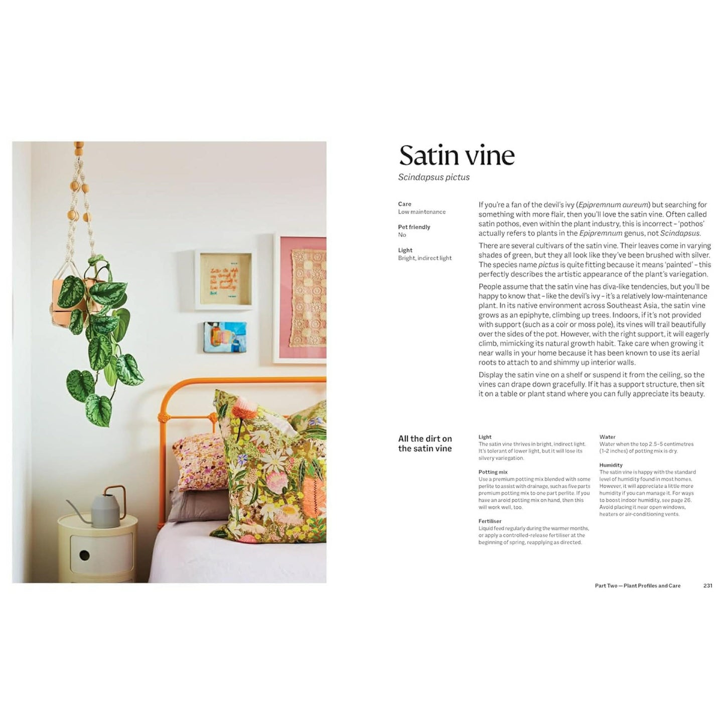 BOOKS & CO - THE PLANT BOOK