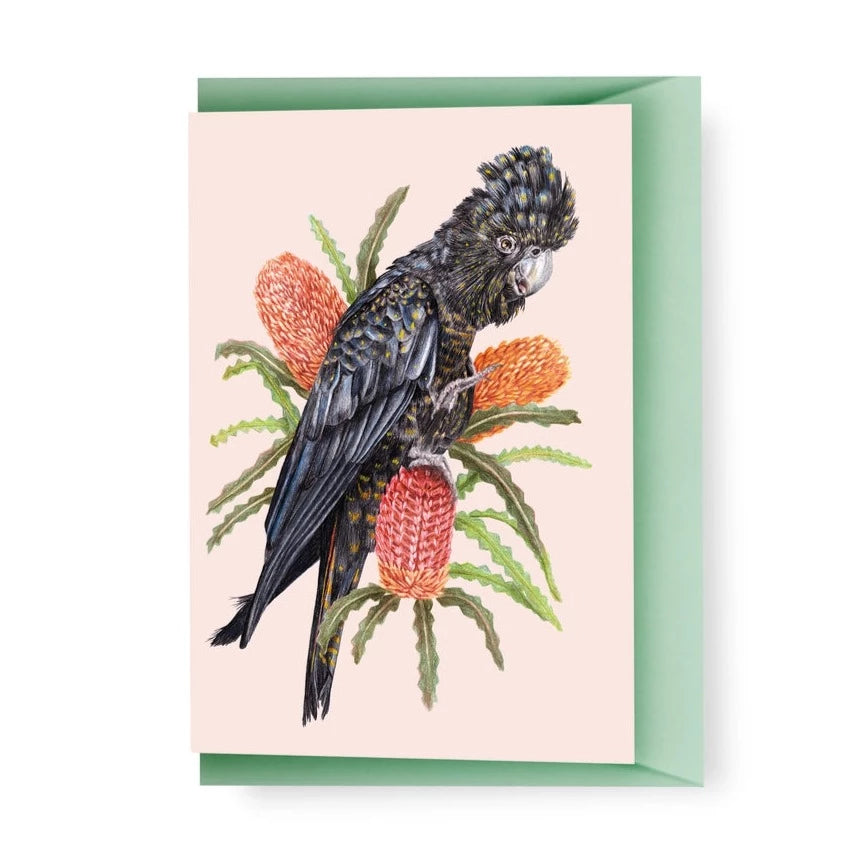 KAYLA REAY- Red-Tailed Black Cockatoo Greeting Card