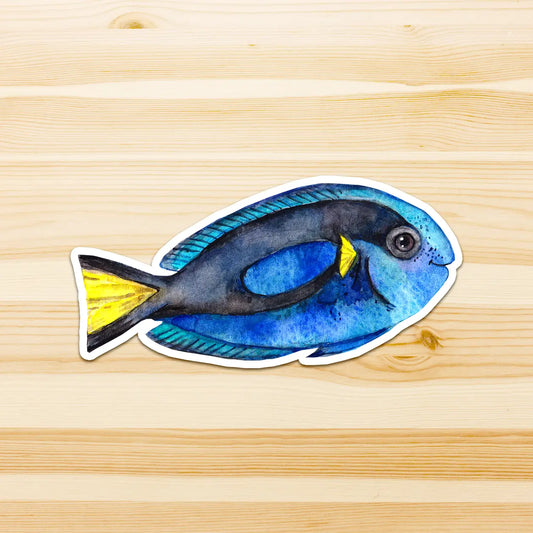 WATERCOLOURS BY CAT- Blue Tang - Large Australian Marine Life Vinyl Stickers