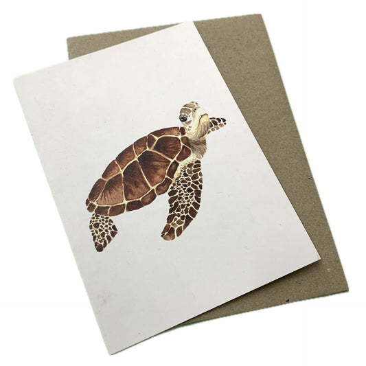 Shanna Trees Creations- Turtle #2 (Looking)- Regular Greeting Card