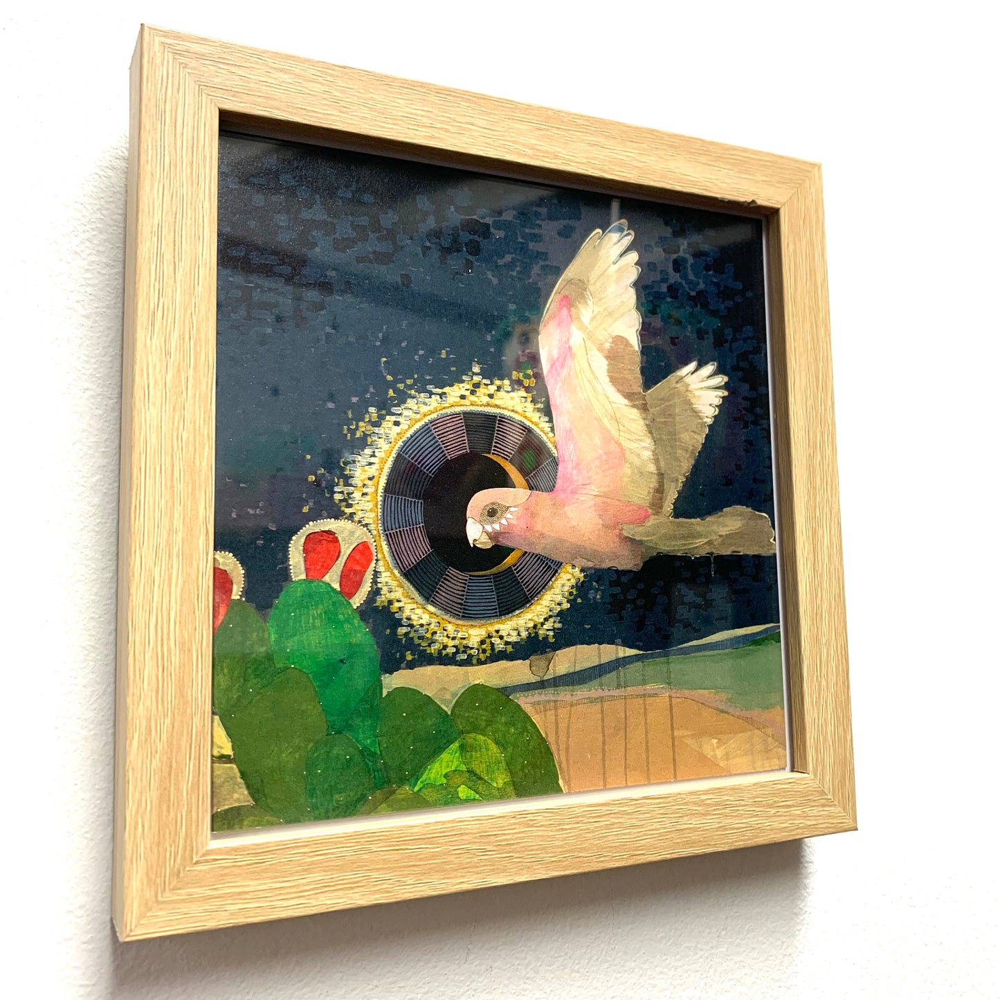 DANA KINTER - "Flying Galah"- Framed Image