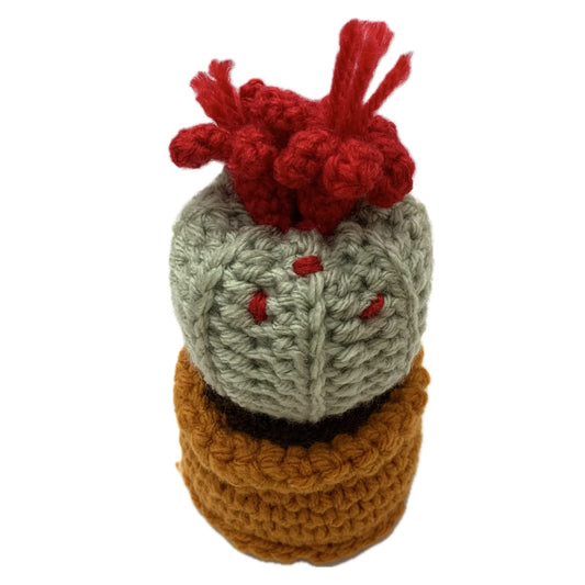 BEAKNITS- CROCHETED CACTUS #3- Red & Sage Green