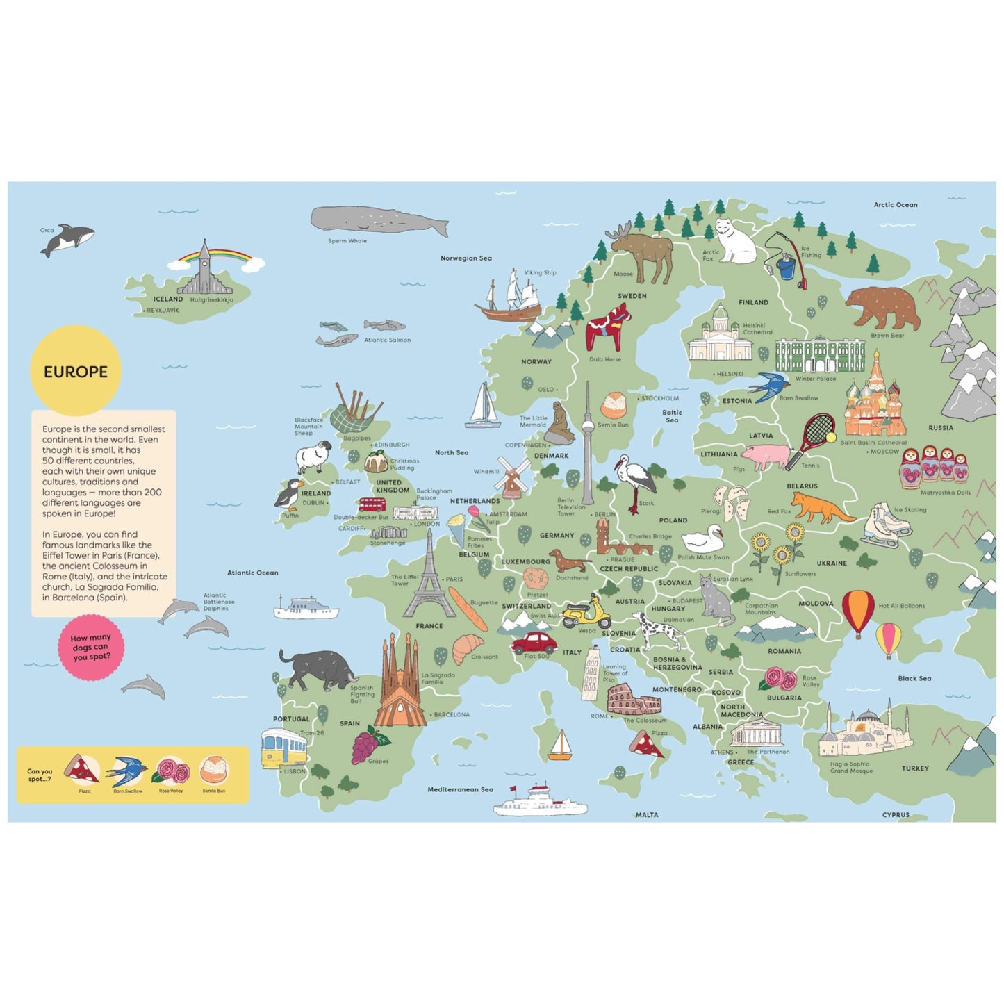 BOOKS & CO- Spot It: Around the World Atlas- Board Book