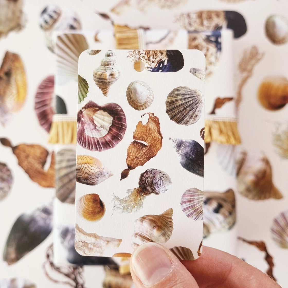 BOSA ART CO - "BEACH TREASURES"- Wrapping Paper
