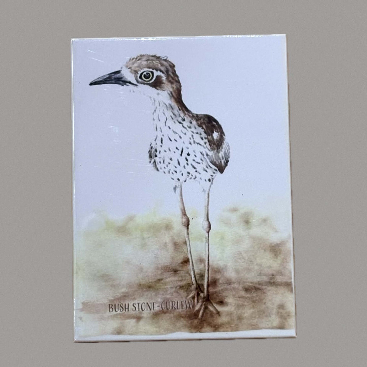 SHANNA TREES - Curlew Magnet