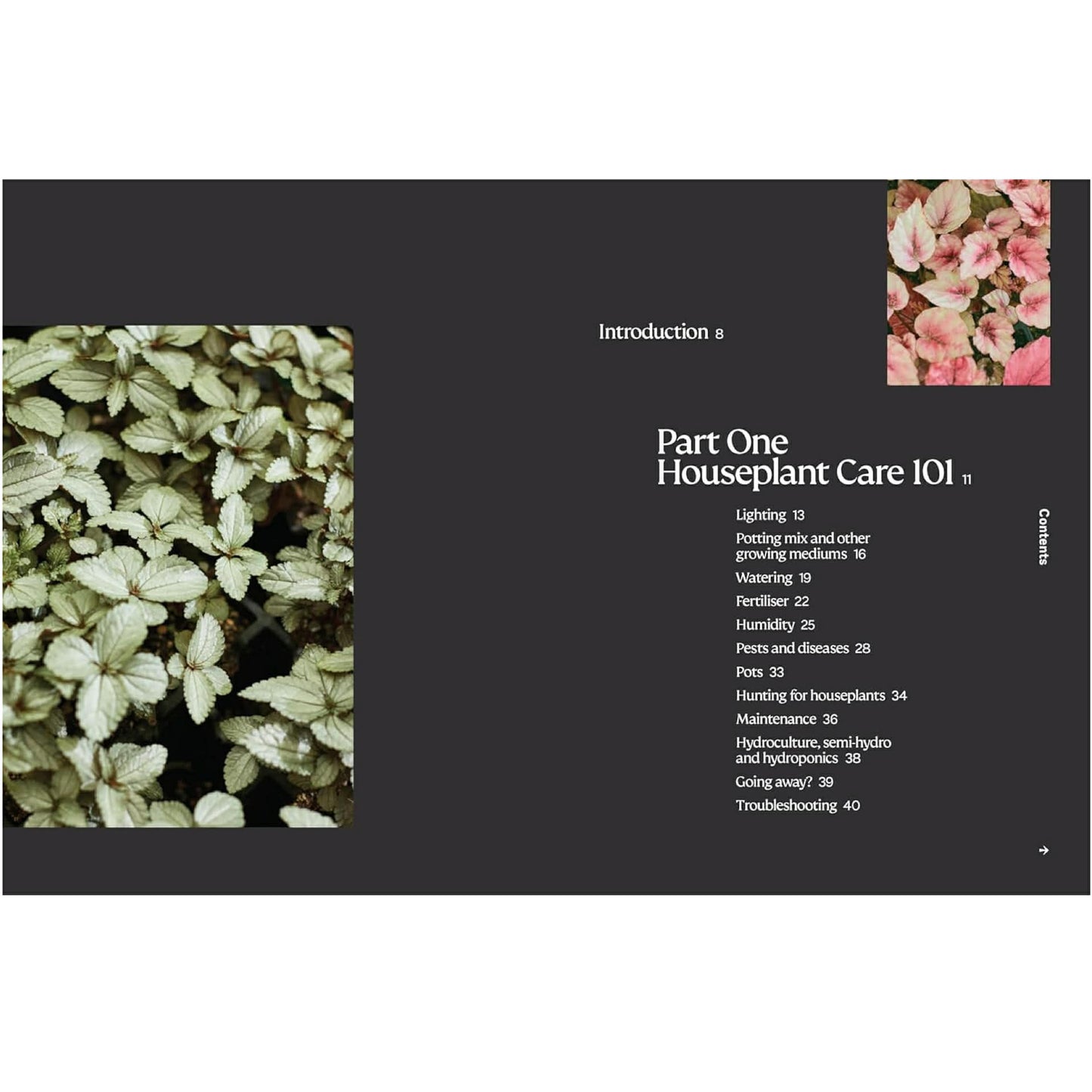 BOOKS & CO - THE PLANT BOOK