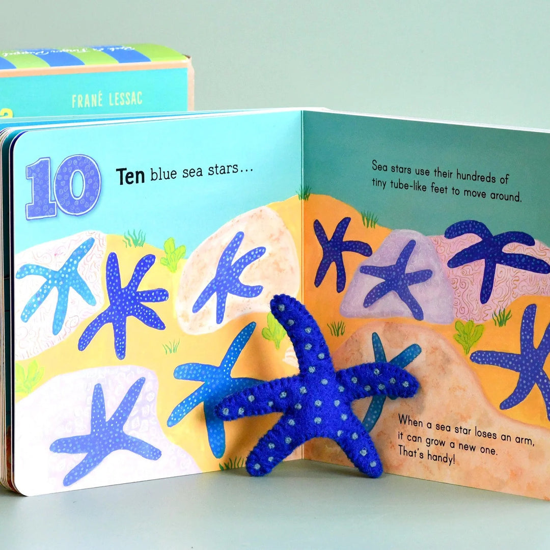 BOOKS & CO - Australia Under the Sea 123 by Frane Lessac- Small Board Book