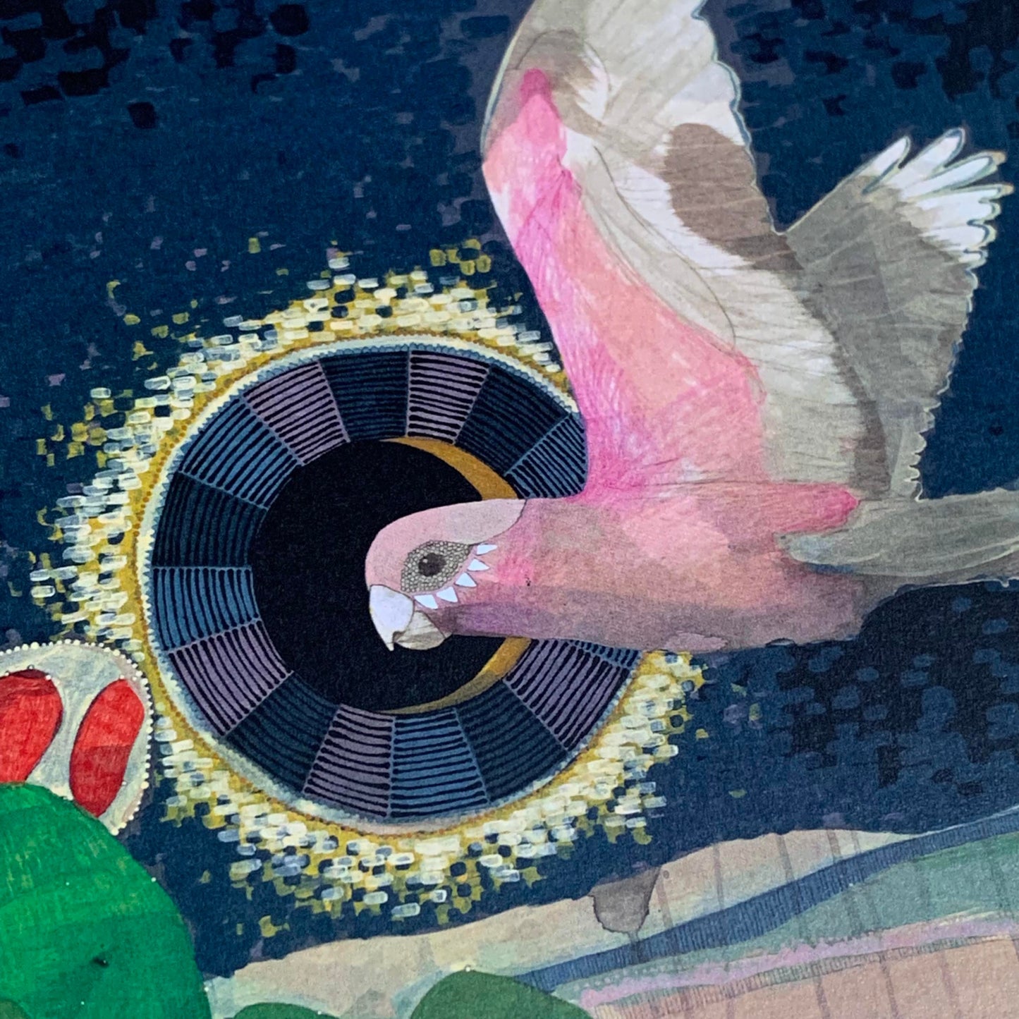 DANA KINTER - "Flying Galah"- Framed Image